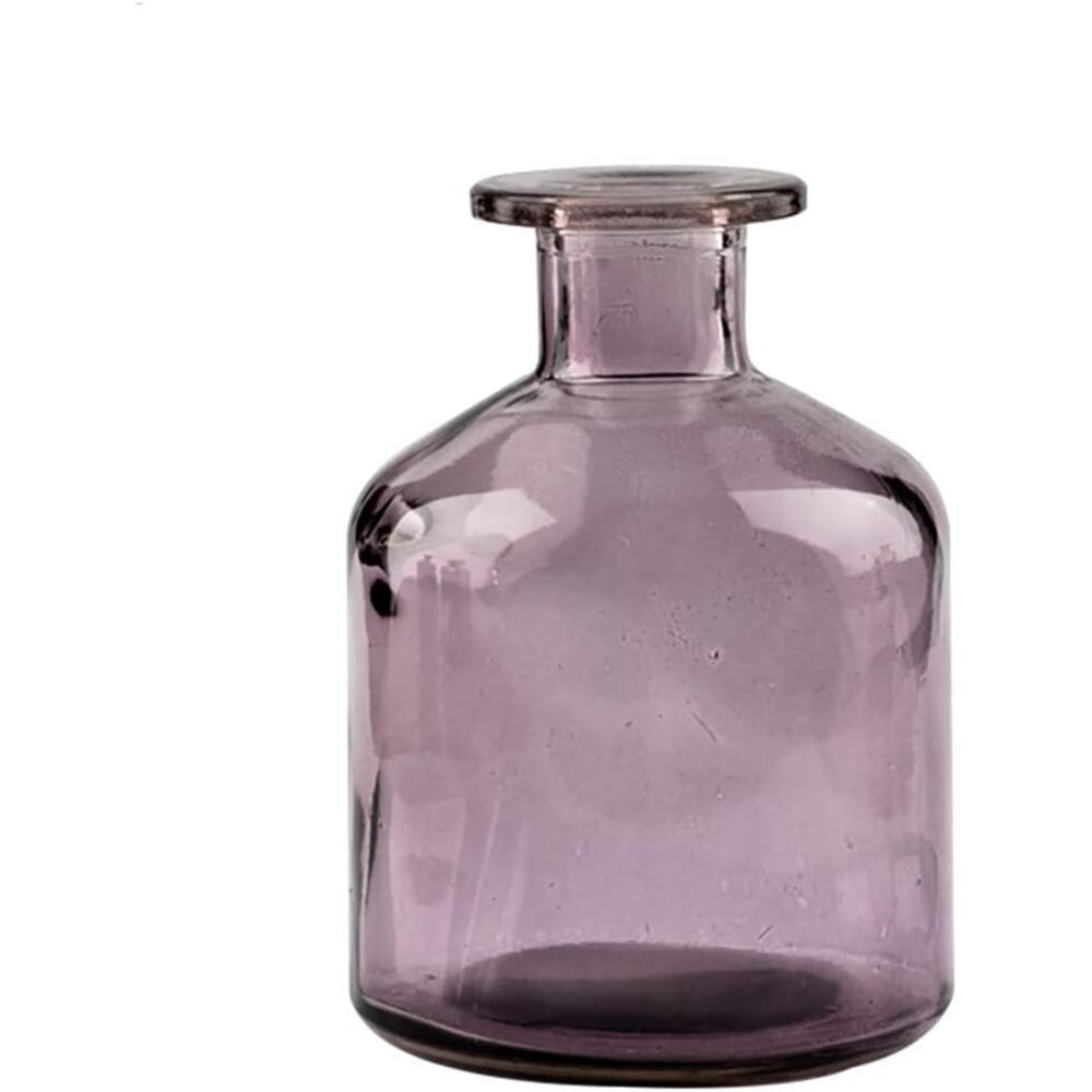 Smooth Face Clear Glass Vase for Flower Bud Vase Hydroponic Planter Purple Short